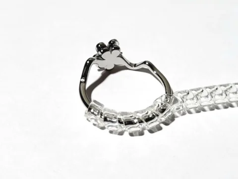 Contoh pengganjal spiral pada bagian bawah cincin