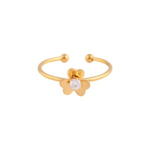 Panlandwoo - Cincin Titanium Wanita Jabre