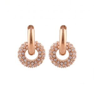 Panlandwoo - Anting Hoop Titanium Wanita Loyal - Gambar 4