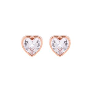 Panlandwoo - Anting Tusuk Titanium Wanita Vionetta - Gambar 5